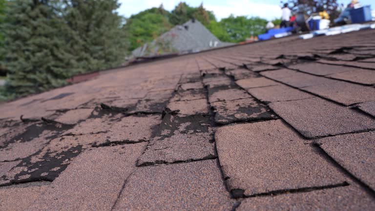 Best Skylight Installation and Repair  in Runge, TX