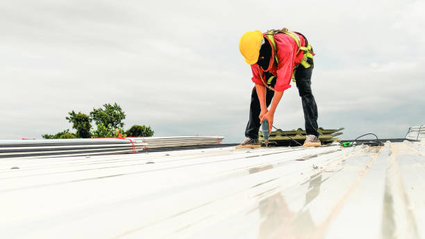 Best Gutter Installation and Repair  in Runge, TX