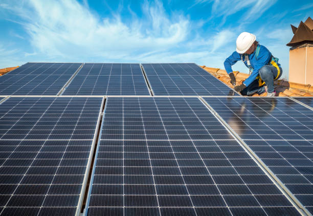 Best Roof Moss and Algae Removal  in Runge, TX