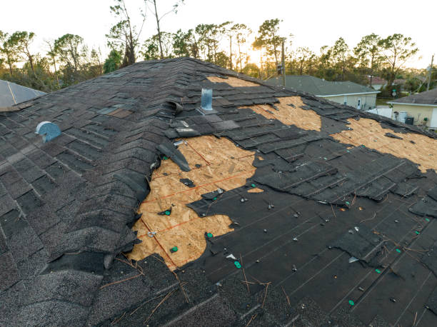 Best Roof Coating and Sealing  in Runge, TX